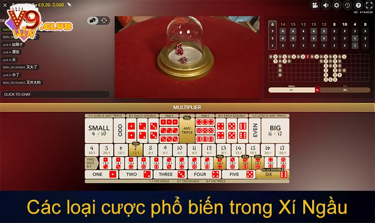 Các loại cược phổ biến trong Xí Ngầu