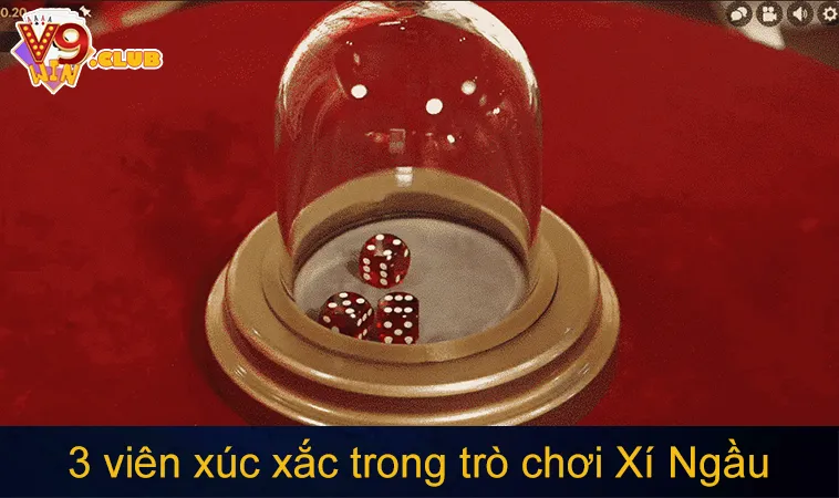 3 viên xúc xắc với các mặt số 1 đến 6 trong trò chơi Xí Ngầu