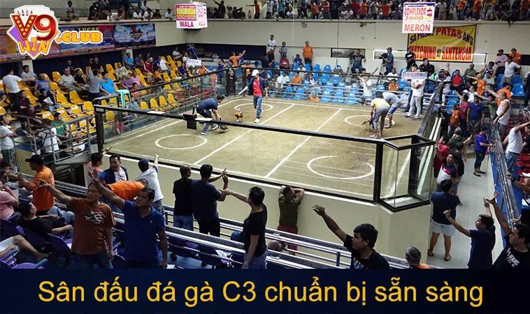 Đá Gà C3: Tìm Hiểu Về Quy Trình Và Kỹ Thuật Thi Đấu 162 Sân đấu đá gà C3 chuẩn bị sẵn sàng cho trận đấu căng thẳng