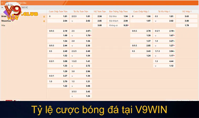 Thị trường cá cược bóng đá V9WIN với các giải đấu quốc tế
